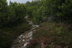 2011-04-24_Regina-F-Rau_Brunnstein-Spitze (090).JPG